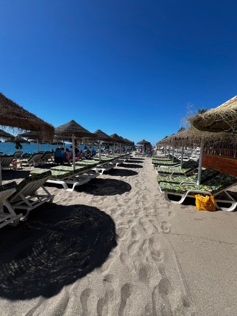 Rows of sunbeds and parasols on the sand