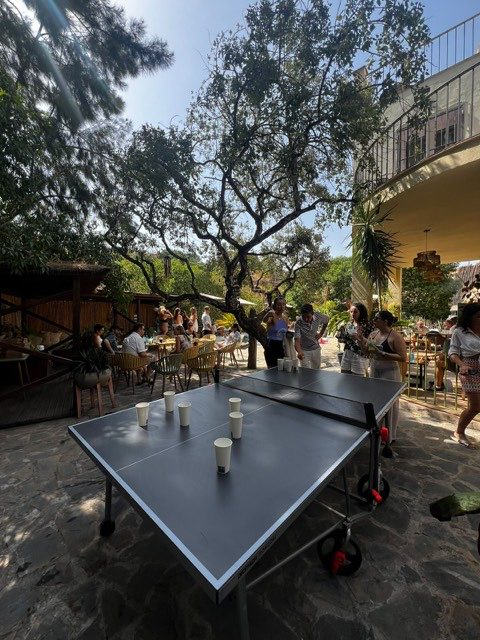 Table tennis table in the garden