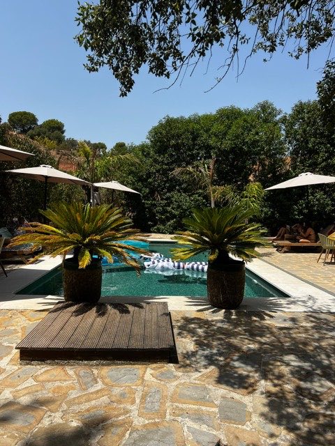 The garden and pool seen from the terrace